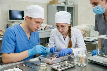 ИОМы по клиническим рекомендациям